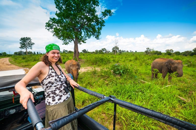 Jeepsafari sri lanka nationalpark elefanten