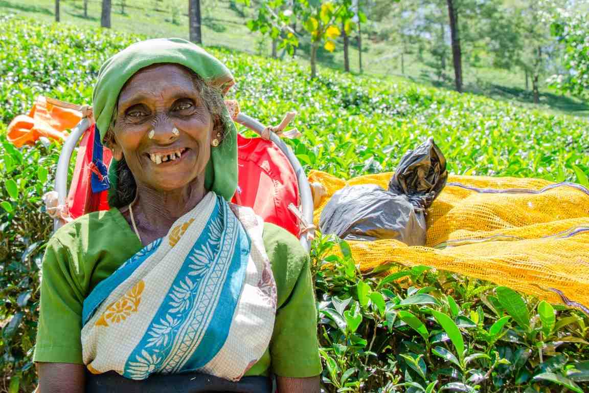 Rundreise Highlights Sri Lanka Reiseburo Sri Tours