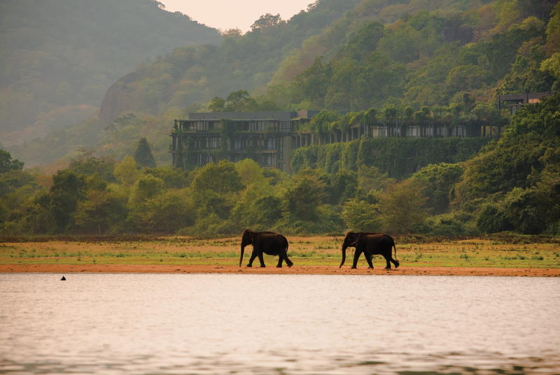 Heritance Kandalama Elefanten
