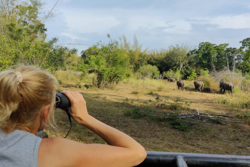 Elefanten-Safari