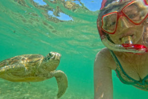 Schnorcheln in Sri Lanka (© Uta Plickert)