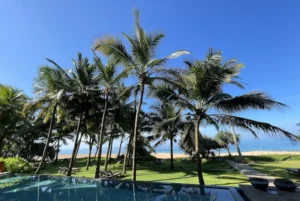 Strand mit Palmen in Sri Lanka (©sri-tours.at)
