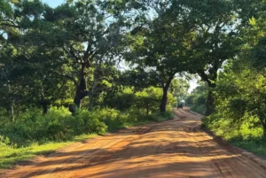 Jeep-Safari in Sri Lanka © Uta Plickert