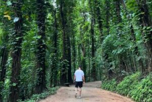 Wanderung im Udawatta Kele Naturschutzgebiet in Sri Lanka